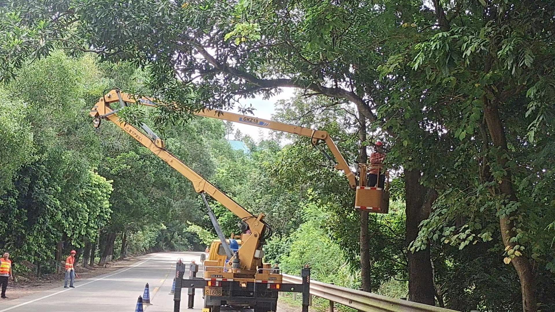 郁南縣公路事務中心未雨綢繆防臺風清理危樹除隱患（新）(1)（副本）.doc_2