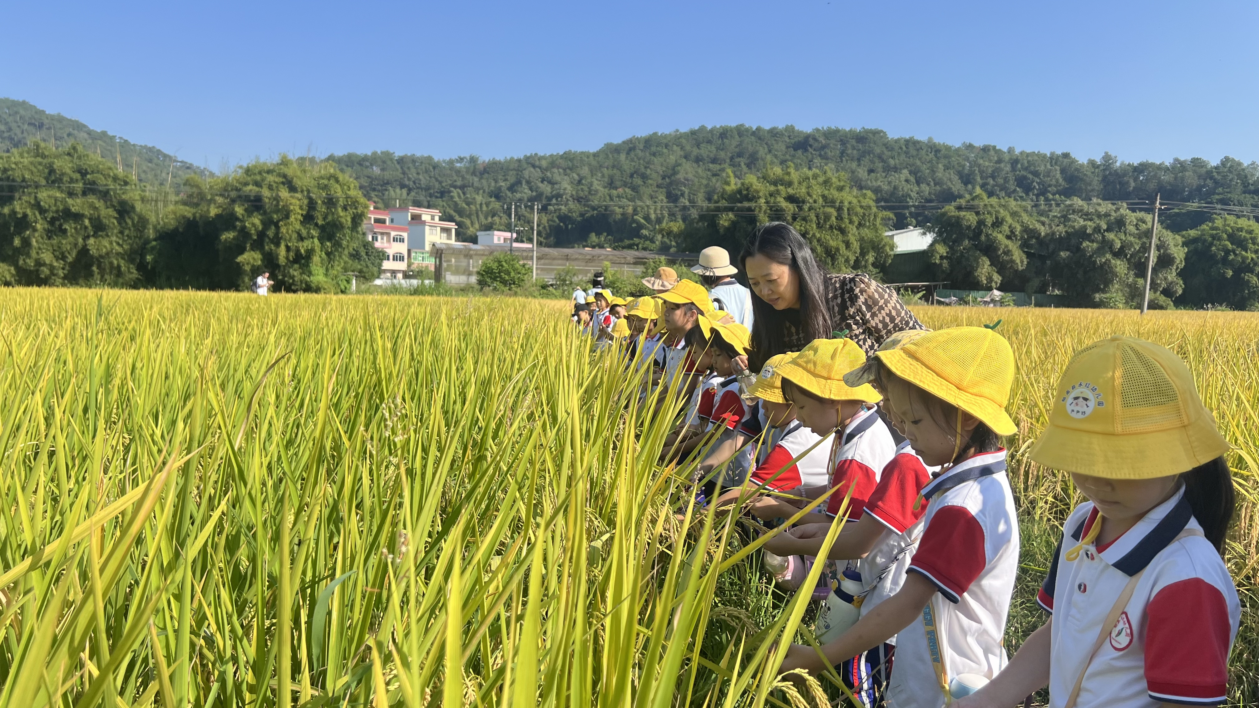 郁南縣永紅幼兒園開展2024年走進農(nóng)村生活體驗活動1.jpg