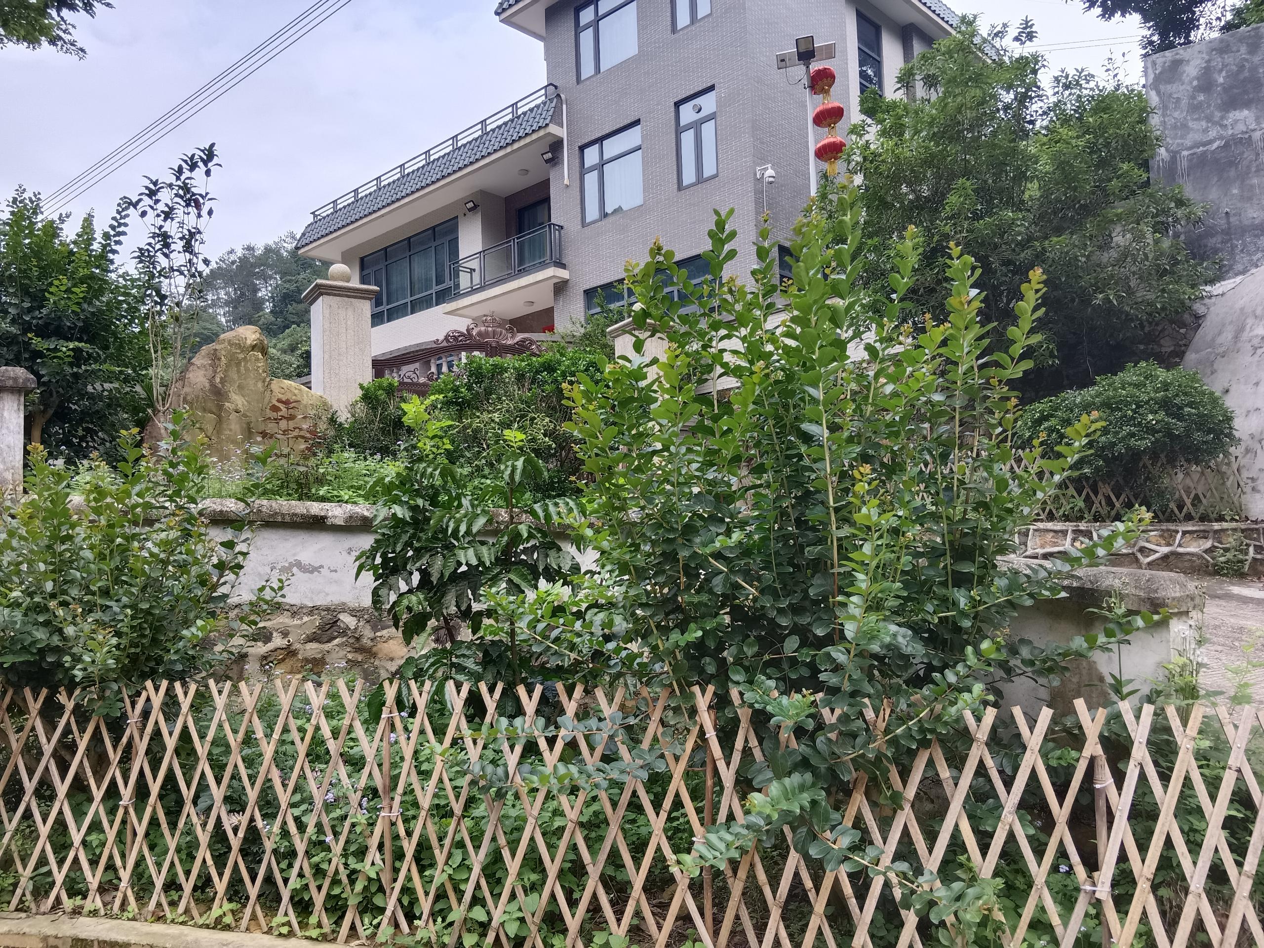 西坑村莫日友戶.jpg