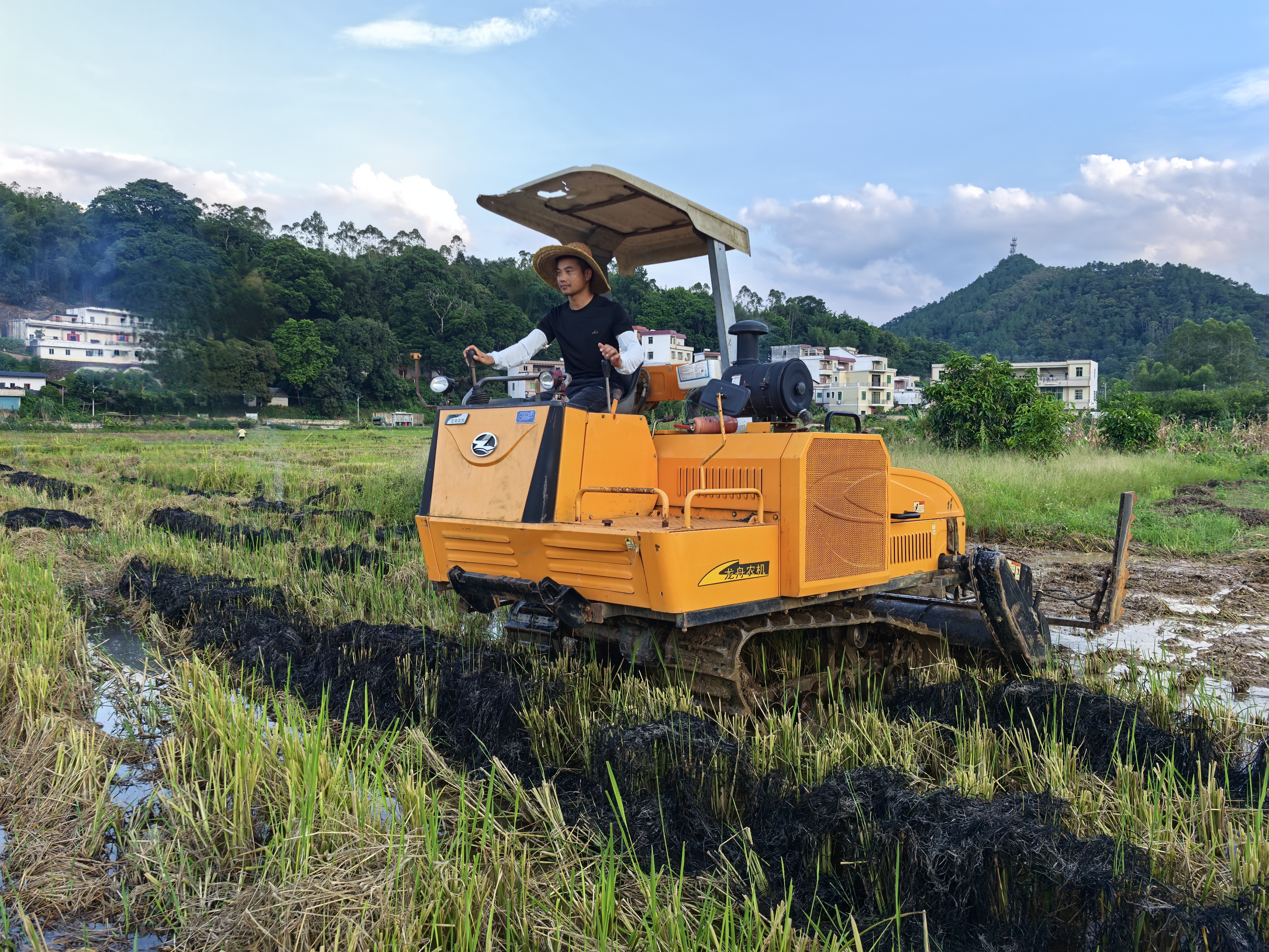 謝桂權打田 (4).jpg