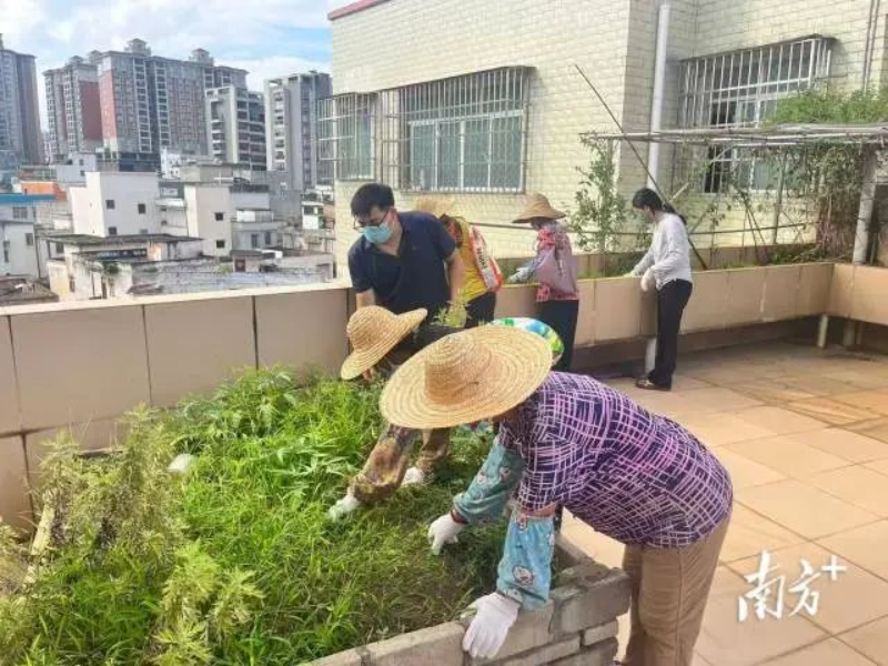 圖片